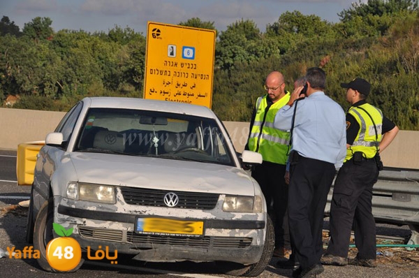 acce lud 1and6st (20).JPG